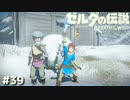 ”雪玉ボウル”悪くねぇじゃん…【ゼルダの伝説 ブレス オブ ザ ワイルド㊴】
