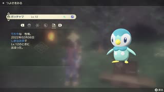 ポケモンレジェンズ アルセウス 色違いポッチャマ！