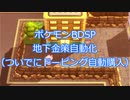 【ポケモンBDSP×Arduino】地下金策+ドーピング購入自動化