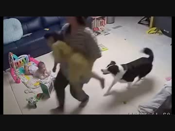 ホモとみる 優しいマッマと子供たち