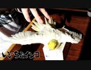 お爺ちゃんインコ達のお風呂事情