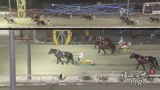 第2回翔雲賞 キングフェスタ