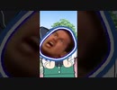 頑　張　る　ゾ　イ