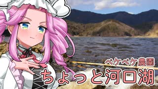 2022年2月6日　農作業日誌P168　家にいると働いてしまうから河口湖まで旅に出る　VOICEVOX解説