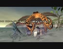 FF11 海賊の海図　ナイトソロ