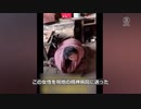 フェミさん出番ですよ「３年間で５万人の女性が売られた」調査報告書が明かす中国の人身売買の実態