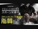 【スポーツ栄養学】3大エネルギー代謝過程「脂質」【ビーレジェンド プロテイン】