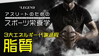 【スポーツ栄養学】3大エネルギー代謝過程「脂質」【ビーレジェンド プロテイン】