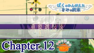 ぼくのかんがえたきみの終末 フルボイス Chapter.12－きみの帰り道－【具だくさんのポトフ】
