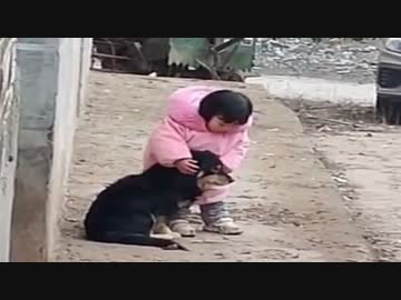 ホモと見る　爆竹で犬が怖がらないように耳を塞ぐ幼女