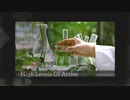Online Beauty Shop