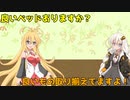 マキちゃんとベッド探し