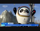 《关于太喜欢冰墩墩而被报道这件事》“让我们嗨起来吧！”