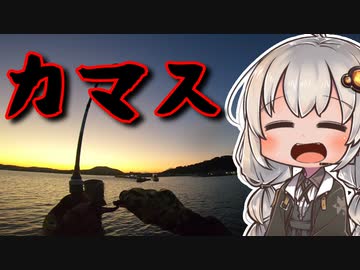 結局カマスしか釣れねぇおじさんを実況する紲星あかり【VOICEROIDフィッシング】