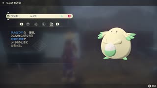 ポケモンレジェンズ アルセウス 色違いラッキー！