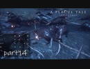 【実況】絶望の淵で生き延びる-part14-【A Plague Tale: Innocence】