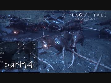 【実況】絶望の淵で生き延びる-part14-【A Plague Tale: Innocence】