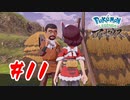 【実況】村の人とも話をしよう【Pokémon LEGENDS アルセウス】#11