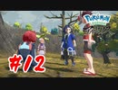 【実況】優しい人達【Pokémon LEGENDS アルセウス】#12
