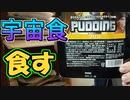 【実写】宇宙食プリン味を食してみた