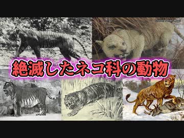 絶滅したネコ科の動物【ゆっくり解説】