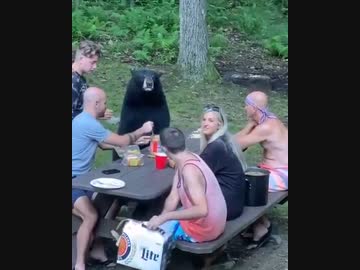 ホモと見る　一般的なロシアの飲み会