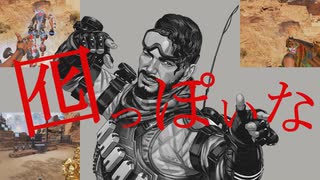 デコイっぽいな