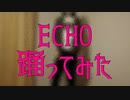 【MOB】ECHO【踊ってみた】