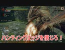 【MHRise】9分でいい大剣でのヌシ・リオレウス重大事変【謙虚なゆっくり実況】