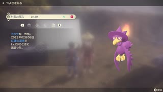 ポケモンレジェンズ アルセウス 色違いヤミカラス！