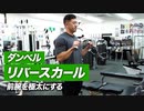 【初心者】ダンベル・リバースカールのやり方 | 極太の前腕をつくる腕トレ種目【ビーレジェンド プロテイン】