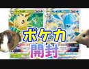 【ポケカ開封】モルモットと開封草のリーフィアと氷のグレイシア【モルモット】
