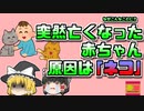 【2008年アメリカ】突然高熱を出して亡くなった赤ちゃん その原因は飼っていた「猫」？！【ゆっくり解説】