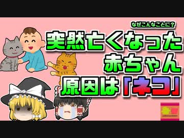 【2008年アメリカ】突然高熱を出して亡くなった赤ちゃん その原因は飼っていた「猫」？！【ゆっくり解説】