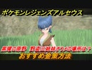 ポケモンレジェンズ アルセウス　おすすめの金策方法　黒曜の原野　野盗三姉妹オウメの場所は？【Pokémon LEGENDS アルセウス】