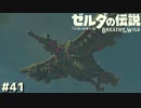 無慈悲な輪廻【ゼルダの伝説 ブレス オブ ザ ワイルド㊶】