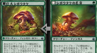 【MTGArena】マジックザギャザリング実況プレイ131(緑きのこの精)