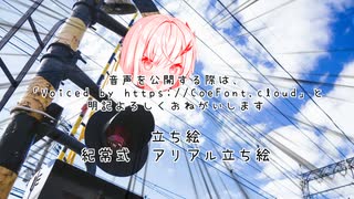 【＃45】ちょっと姉さん！近づかないで！【Coefont劇場】