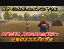 ポケモンレジェンズ アルセウス　お金稼ぎきんのたま集めの方法　紅蓮の湿地　野盗三姉妹の場所は？【Pokémon LEGENDS アルセウス】
