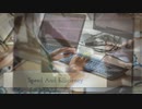 Wordpress Developers