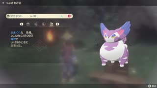 ポケモンレジェンズ アルセウス 色違いブニャット！