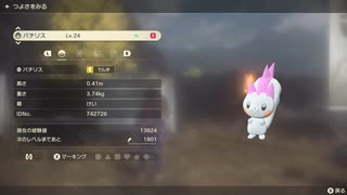 ポケモンレジェンズ アルセウス 色違いパチリス！