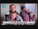 糞便の池、それが中国の正体。男子生産基地のレイパ―、ネットの人気者になる。北京冬季五輪の裏、この世の地獄絵図。