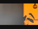 Favs 1-frame for Video-Search