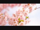 Favs 1-frame for Video-Search