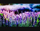 Favs 1-frame for Video-Search