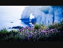 Favs 1-frame for Video-Search