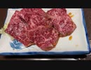 夢ねこ世界を喰らう #100 いわき・佐野・南知多・隼駅・鳥取・鹿児島で美味しいのをいっぱい