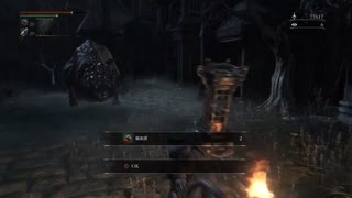 【攻略】たのしいブタタッチゲーム　コントローラ壊れかけBloodborne