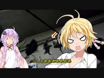 バイクでゆかマキフィッシング 第19話